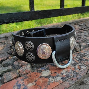 Great Collar for Cane corso in black with decorative elements. Handmade. Made with genuine belt leather